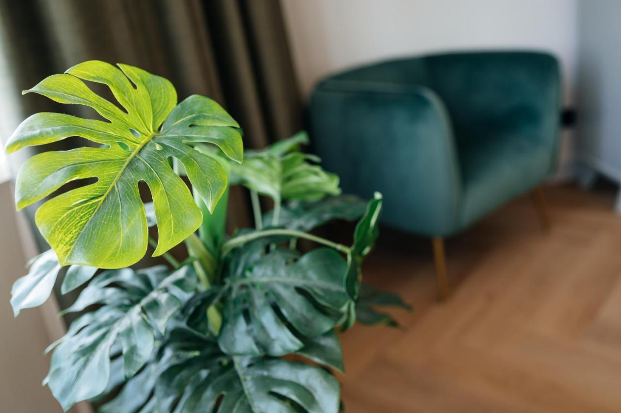 Myhotel Steenwijk - Giethoorn Εξωτερικό φωτογραφία
